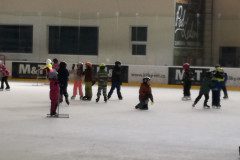 IMG_20250305_102546