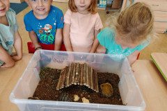 IMG_20240911_080034