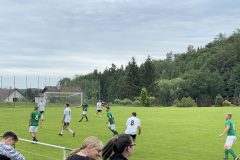 IMG_6916