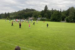 IMG_6930