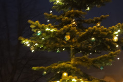IMG_20251129_165255