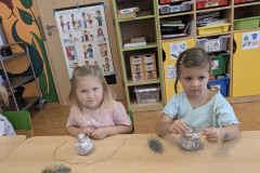 PXL_20251124_084417623