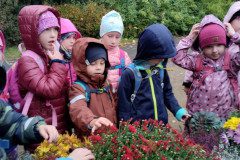 IMG_20231020_085920