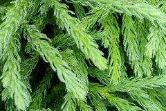 IMG_20231020_093647