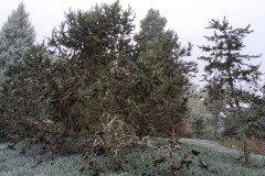 IMG_20231020_094244