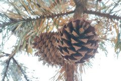 IMG_20231020_094620