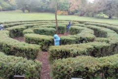 IMG_20231020_102854