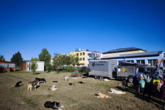 IMG_20260923_093702