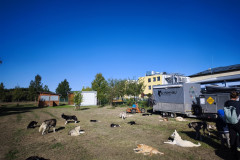 IMG_20260923_093709