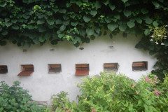 DSCN9249