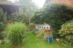 DSCN9250