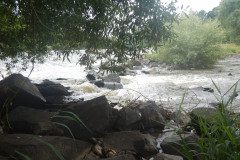 DSCN9281