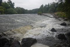 DSCN9282