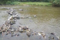 DSCN9286