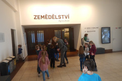 DSCN6892