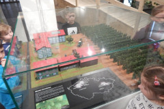 DSCN6917