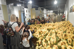 DSCN6920