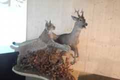 DSCN6932