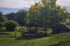 IMG_20260616_091052