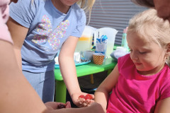 IMG_20260616_095404