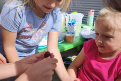 IMG_20260616_095406