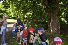 IMG_20260616_105708
