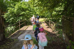 IMG_20260616_105720