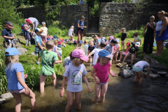 IMG_20260616_110239