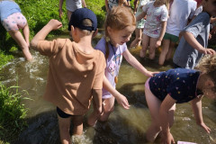 IMG_20260616_110256