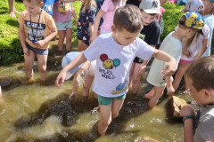 IMG_20260616_110307