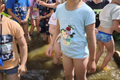 IMG_20260616_110323