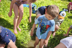 IMG_20260616_110442