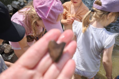 IMG_20260616_110548