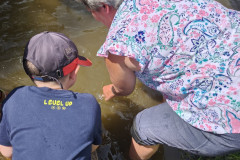 IMG_20260616_110618