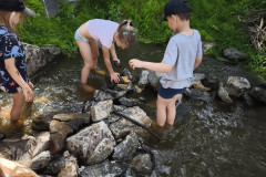IMG_20260616_110629