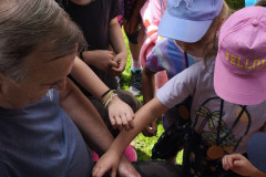 IMG_20260616_112431