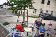 IMG_20260616_121654