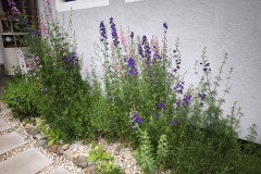 IMG_20260616_132221