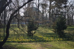IMG_20260318_091405