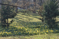 IMG_20260318_091409