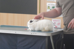 DSCN4415