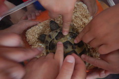DSCN4428