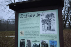IMG_20251203_090819
