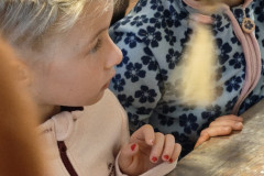 IMG_20251203_102439