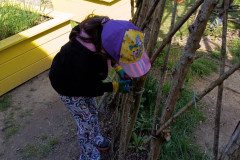 IMG_20250429_151455_146