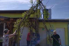IMG_20250429_152600_898