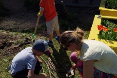 IMG_20250429_153054_522