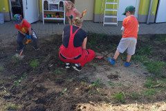 IMG_20250429_154644_166