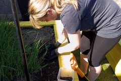 IMG_20250429_160824_010