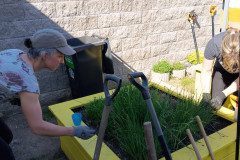 IMG_20250429_160827_934